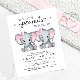 Papier Elephant Twin Girls Baby Couples Douche Invitation