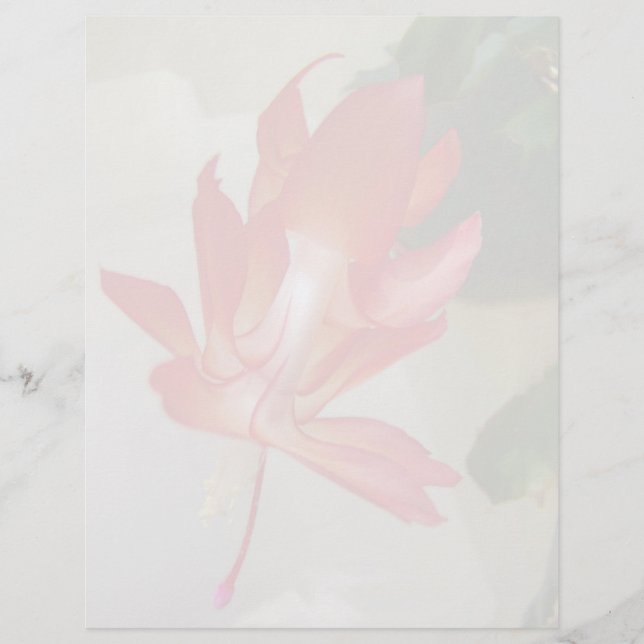 Papier En-tête de cactus de Noël (Devant)