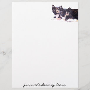 Papier En-tête de la famille des fèces de chats
