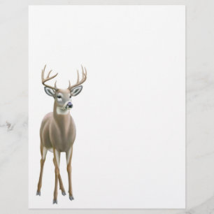 Papier En-tête de lettre de cerf blanc