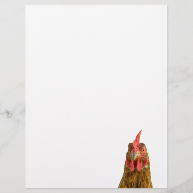 Papier En-tête de lettre de portrait de poulet (Devant)