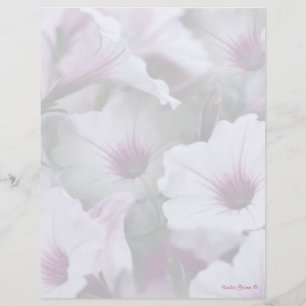 Papier En-Tête Pétunias Blanc Et Rose Doux