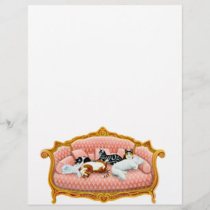 Papier En-tête Pourcentage Feline