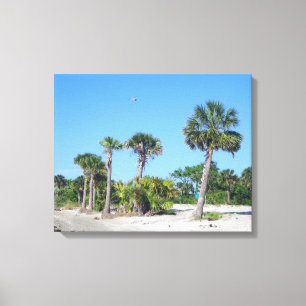 Papier en toile Palm Trees