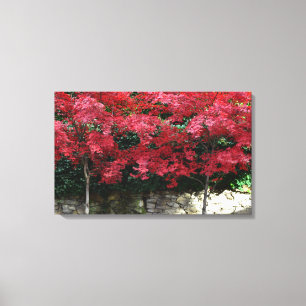 Papier en toile rouge d'automne