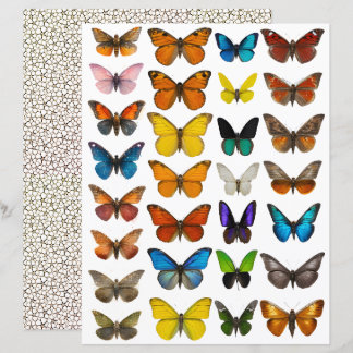 Papier ensemble Papillon Aquarelle pour découpe soignée