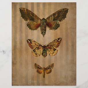Papier Ephémère du rescousse de papillons vintages