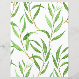 Papier Eucalyptus motif aquarelle sur blanc