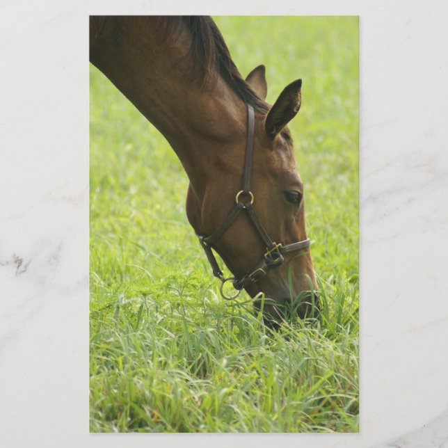 Papier Faire du cheval autour (Devant)