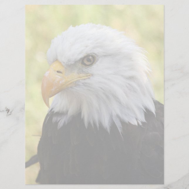Papier Falln Bald Eagle Liberty (Devant)