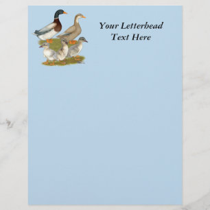 Papier Famille de canards de Saxe