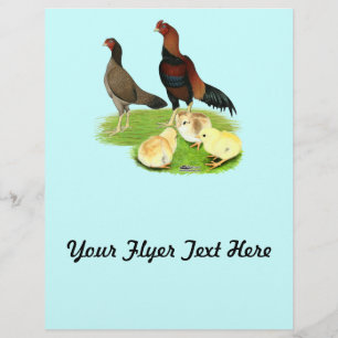 Papier Famille de poulets Aseel Wheaten