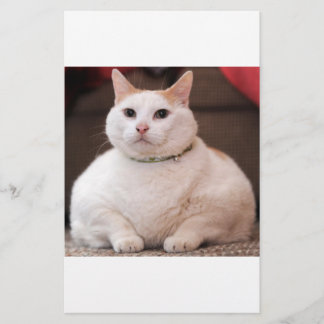 Papier Fat