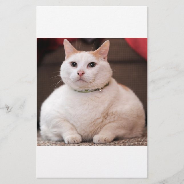 Papier Fat (Devant)
