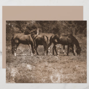 Papier Ferme de cheval Pays Vintage Rustique Sepia Ouest