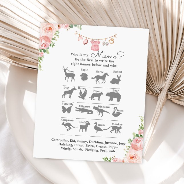 Papier Fille baby shower de vêtements bébé Qui est mon je (Créateur téléchargé)