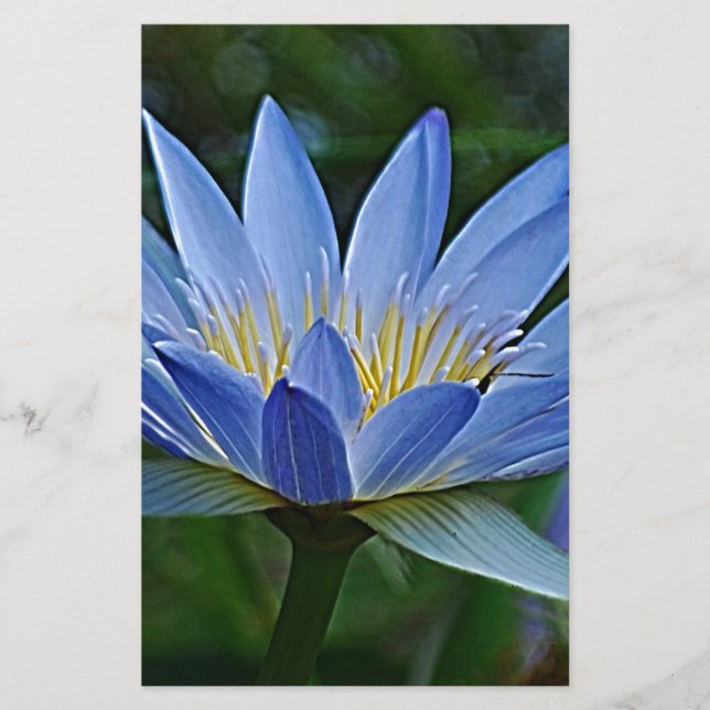 Papier Fleur de lotus et signification (Devant)