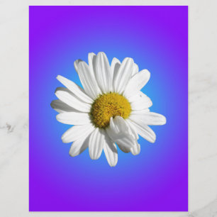 Papier Fleur de marguerite blanche dégradé floral bleu vi