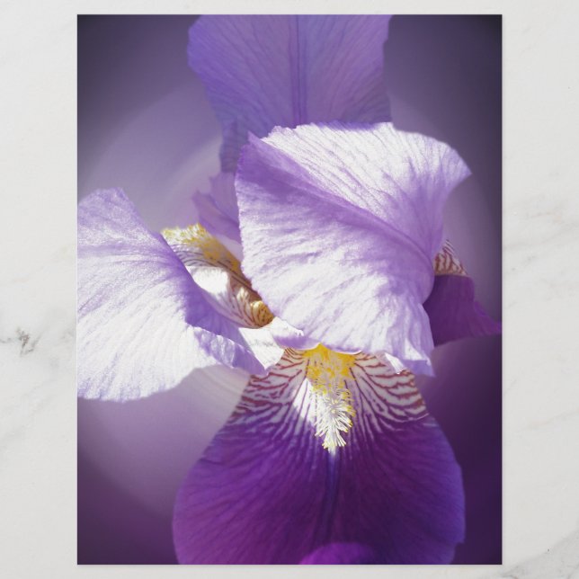Papier fleur d'iris pourpre (Devant)