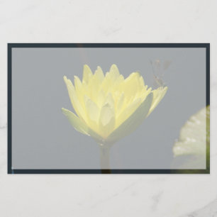 Papier Fleur Nénuphar Lotus Jaune