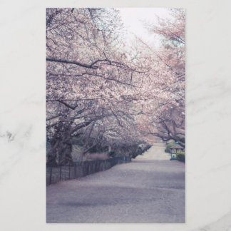 Papier Fleurs de cerisiers