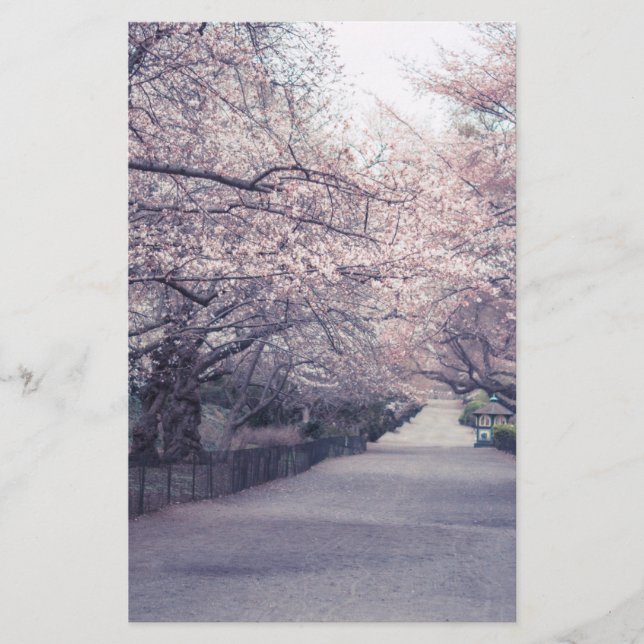 Papier Fleurs de cerisiers (Devant)