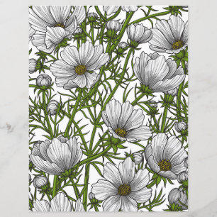 Papier Fleurs de cosmos blanc
