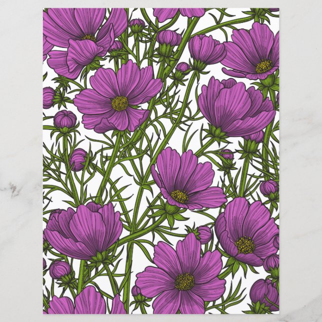 Papier Fleurs de cosmos violet (Devant)