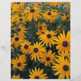 Papier Fleurs de jardin marguerites jaunes.