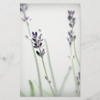 Papier Fleurs de lavande