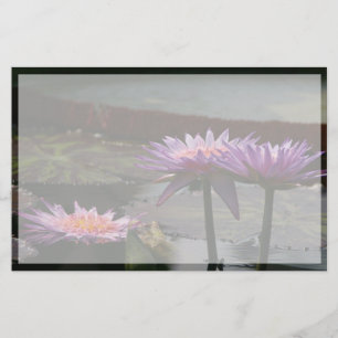 Papier Fleurs de lotus pourpre