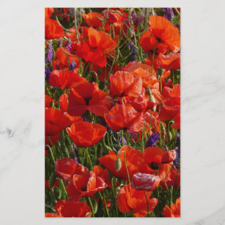 Papier Fleurs de pavot rouge