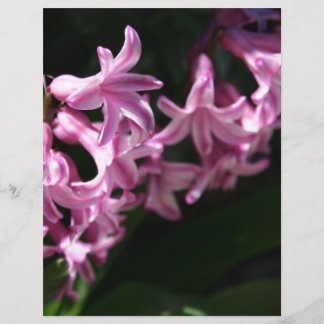 Papier Fleurs de printemps rose-blanc