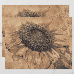 Papier Fleurs de soleil géantes Vintage Sepia Brown Décou