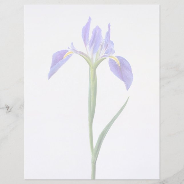 Papier Fleurs | Fleur Iris Violet (Devant)