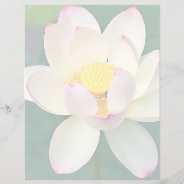 Papier Fleurs | Lotus Water Flower (Devant)