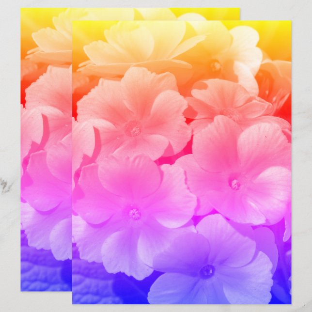 Papier Fleurs printanières de Primrose Jaune près (Devant / Derrière)