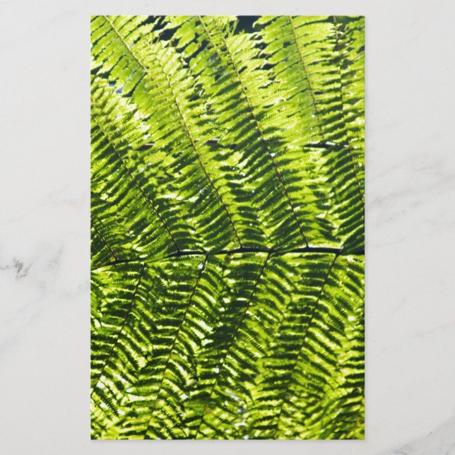 Papier Flora Dominique 5 (Devant)