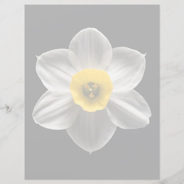 Papier Flowers (homonymie) Flower blanc (Devant)