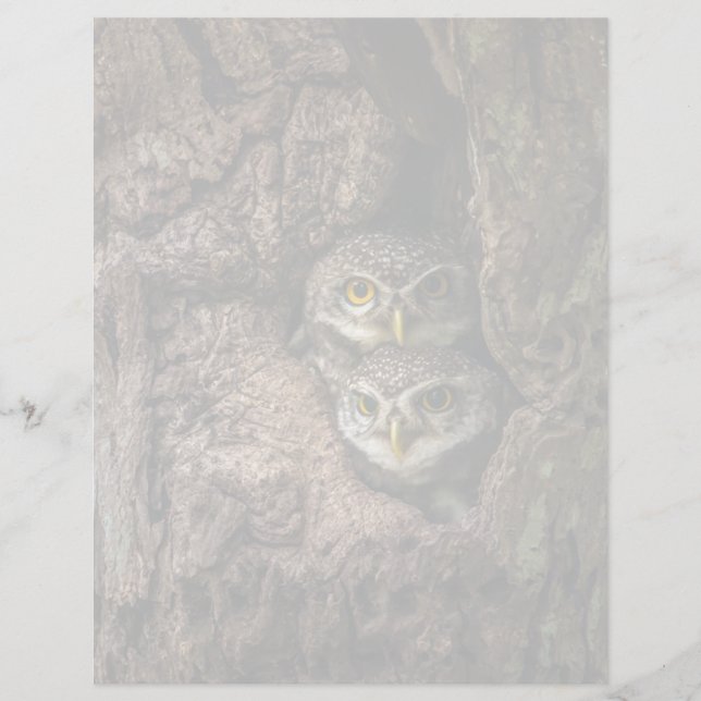 Papier Forests | Two Owls Looking (Devant)