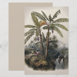 Papier Forêt de bananiers tropicaux antiques Bota vinta