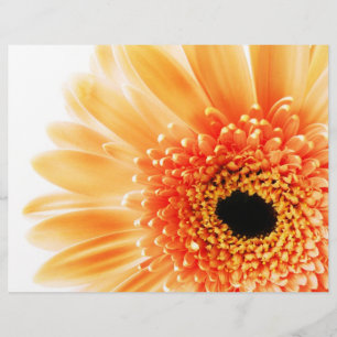 Papier Gerbera