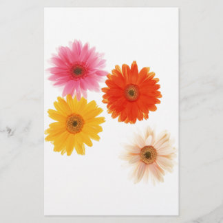 Papier Gerbera Fleurs Imprimer Fleur Flottante Faisy Fais