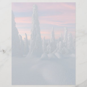 Papier Glace et neige Arbres couverts de neige, Laponie