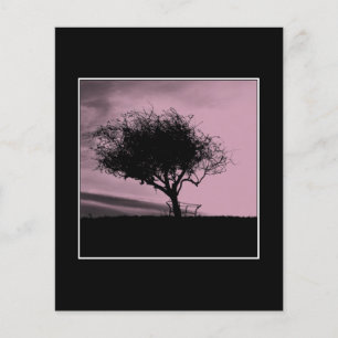Papier Glastonbury Hawthorn. Arbre sur Hill. Rose, Noir.