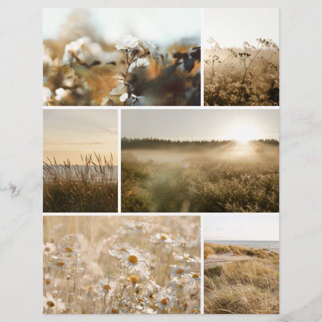 Papier Golden hour nature Scrapbook paper for cutouts (Devant)