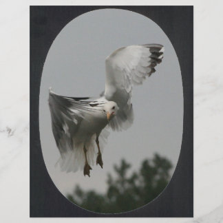 Papier Grand cadre ovale (noir)