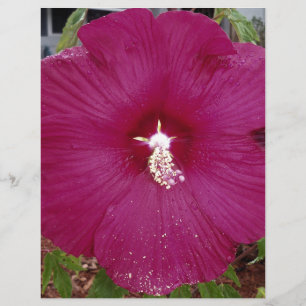 Papier grand Hibiscus rouge foncé