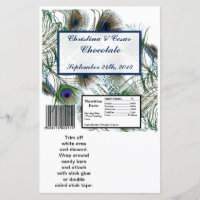 Grandes barrettes de Hershey Peacock Plumes Bleu
