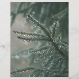 Papier Green spruce tree, winter Scrapbook Paper
